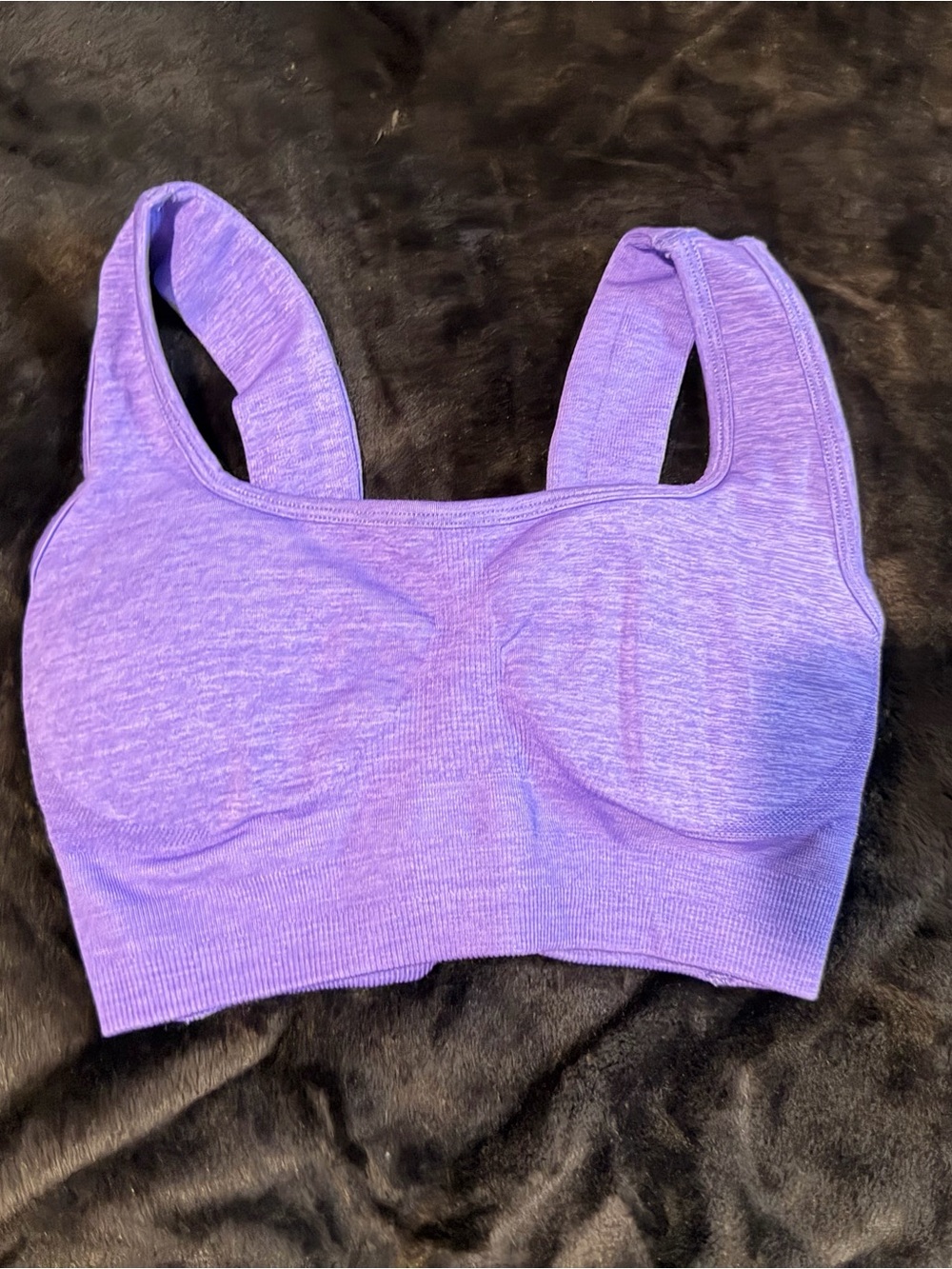 BuffBunny Party Purple Seamless Sports Bra